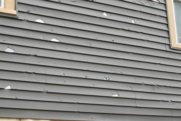 Best Vinyl Siding Installation  in Renville, MN